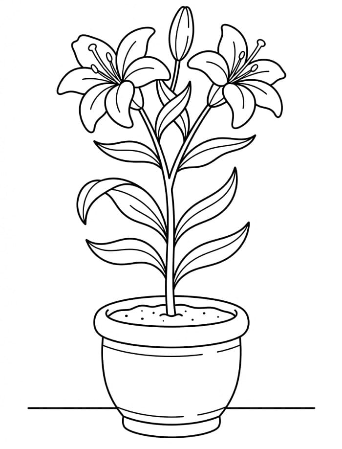 Een Leliebloem