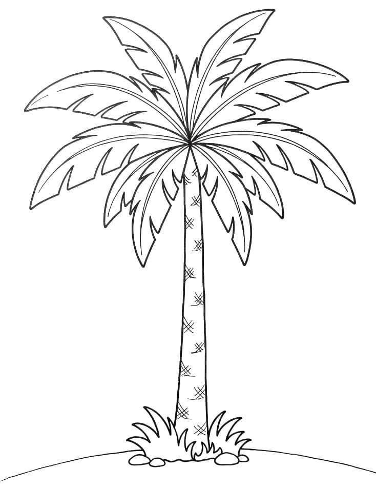 Een Palmboom