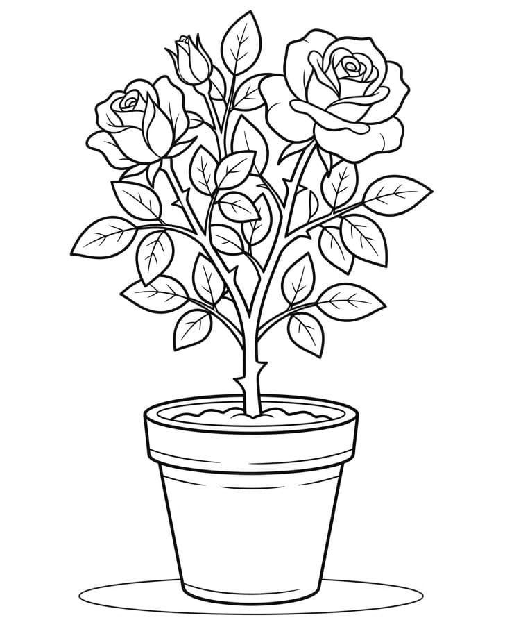 Een Roosbloem