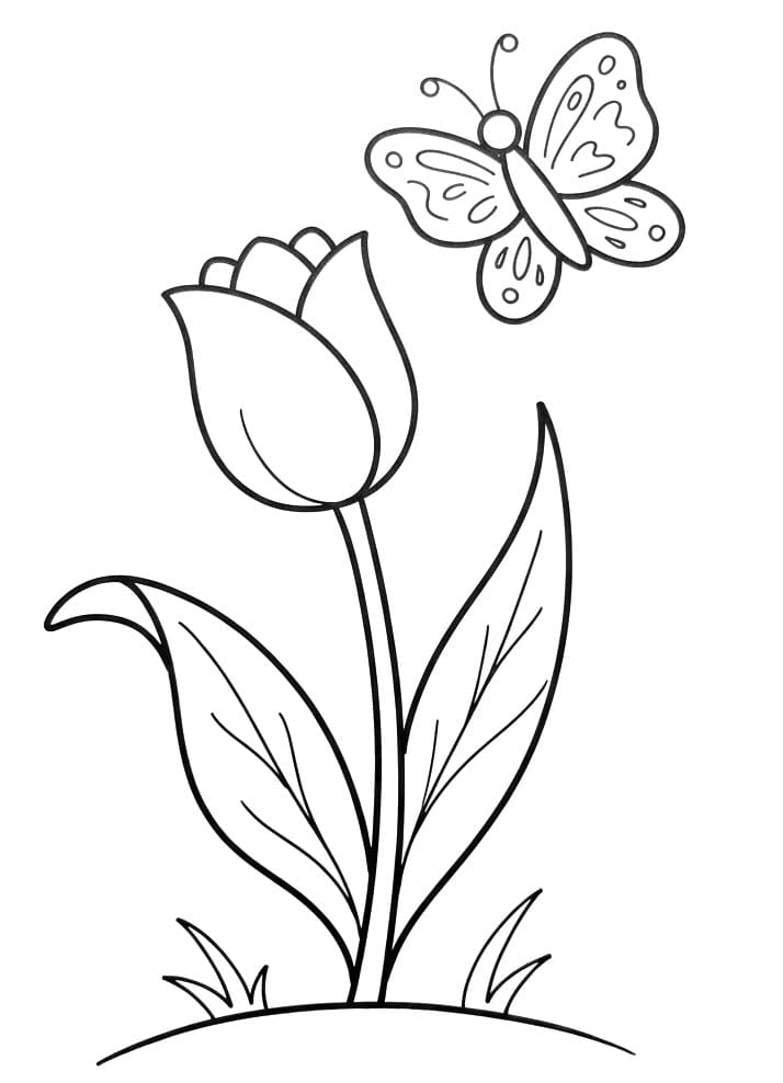 Een Tulpbloem