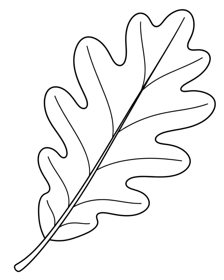 Een blad