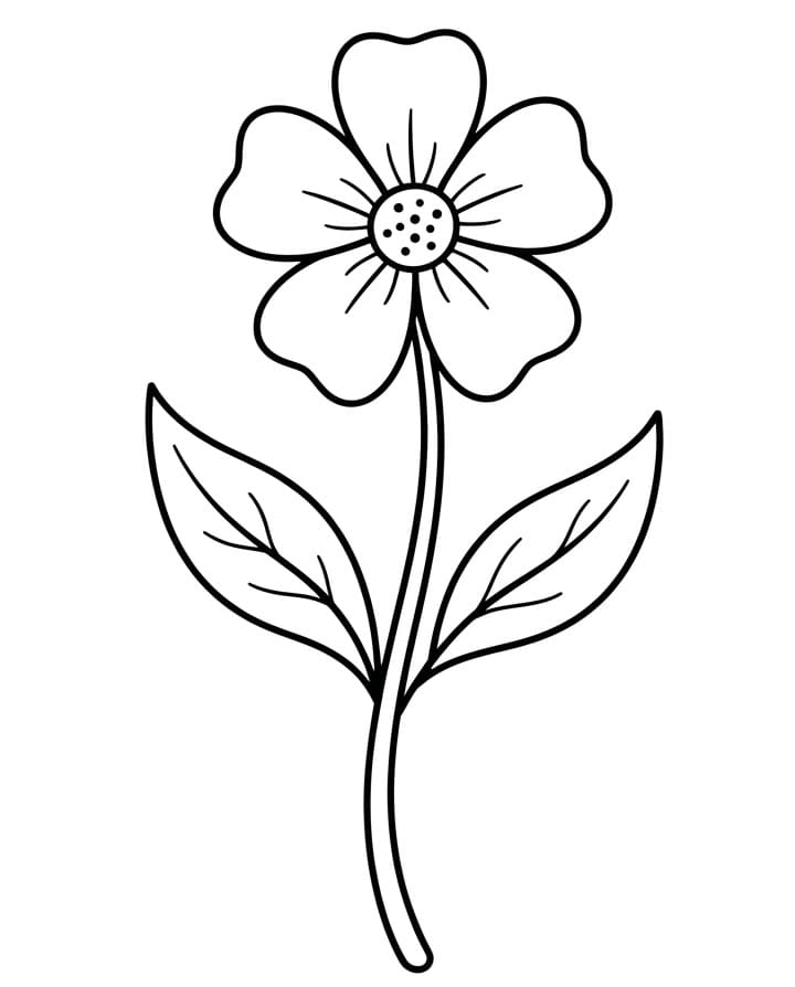 Een bloem