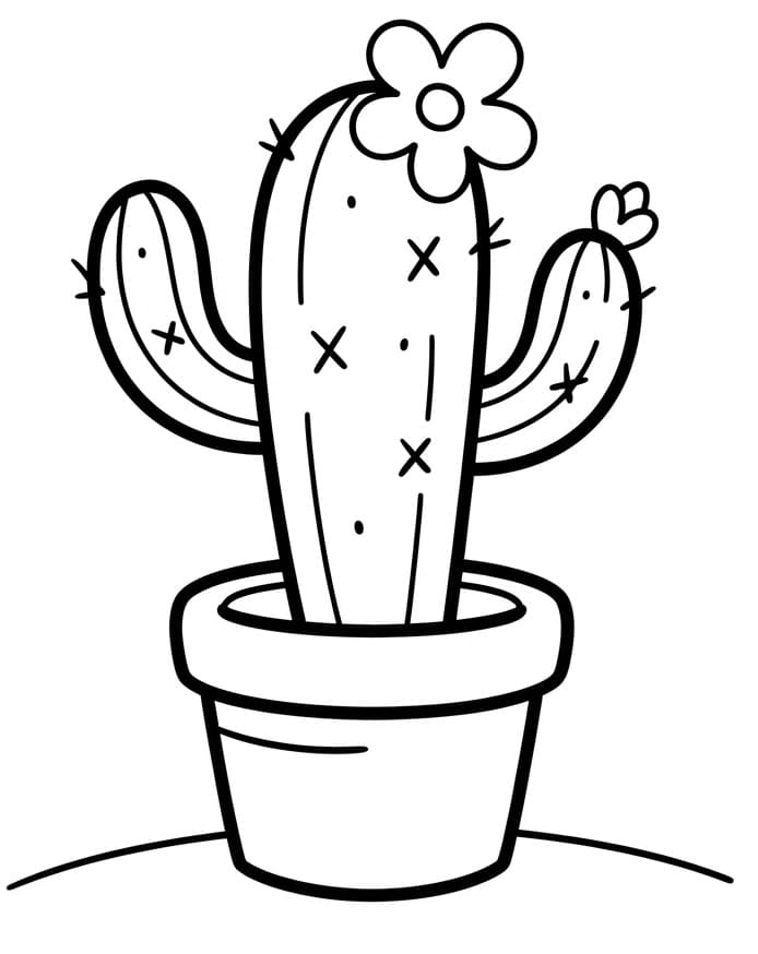 Een cactusplant
