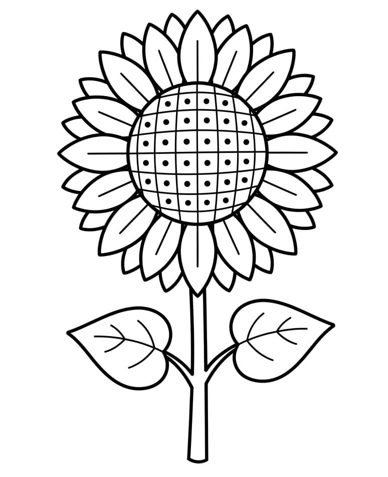 Een zonnebloem