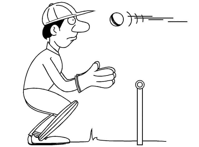 Eenvoudig Cricket