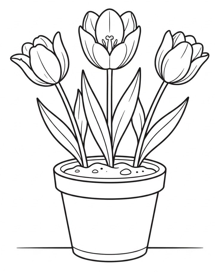 Eenvoudige Tulp
