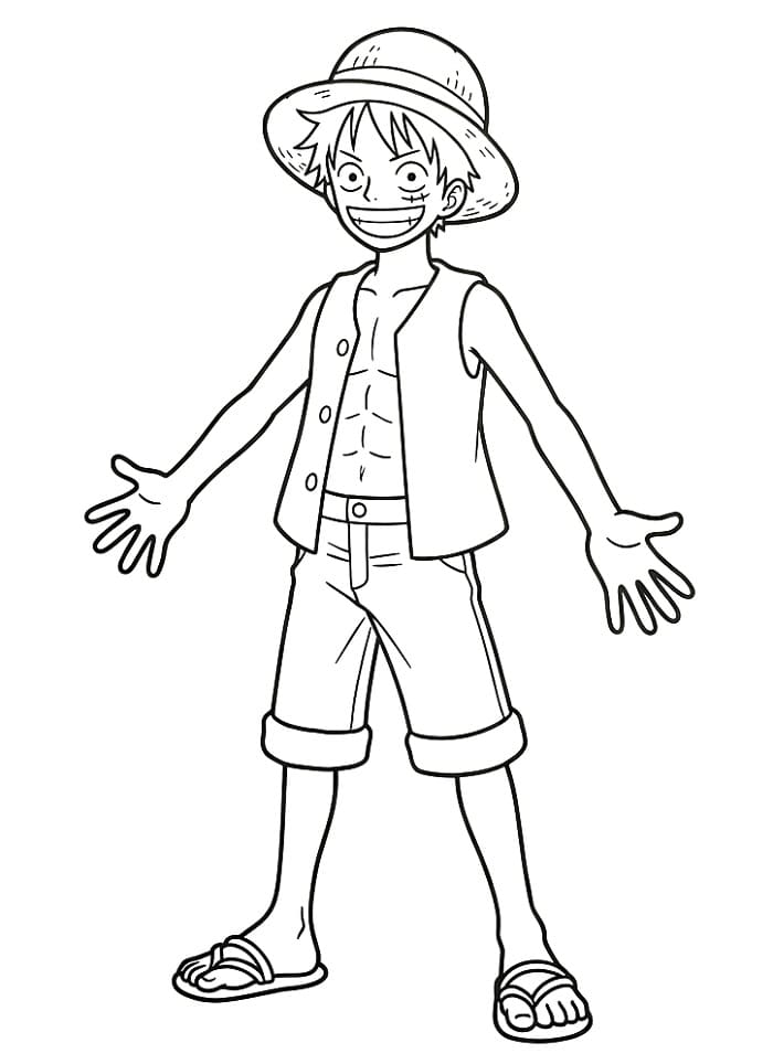 Fantastische One Piece
