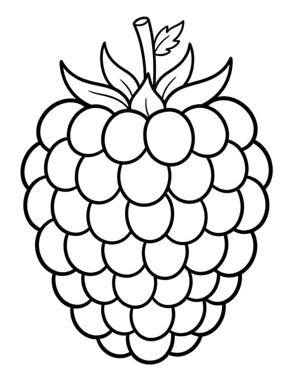 Framboos kosteloos