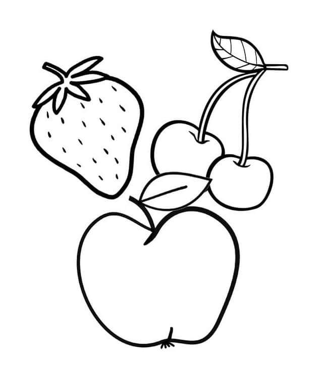 Fruit (12)