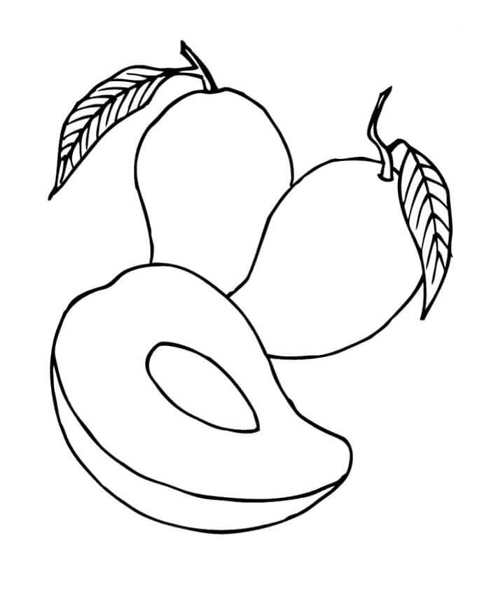 Fruit (2)