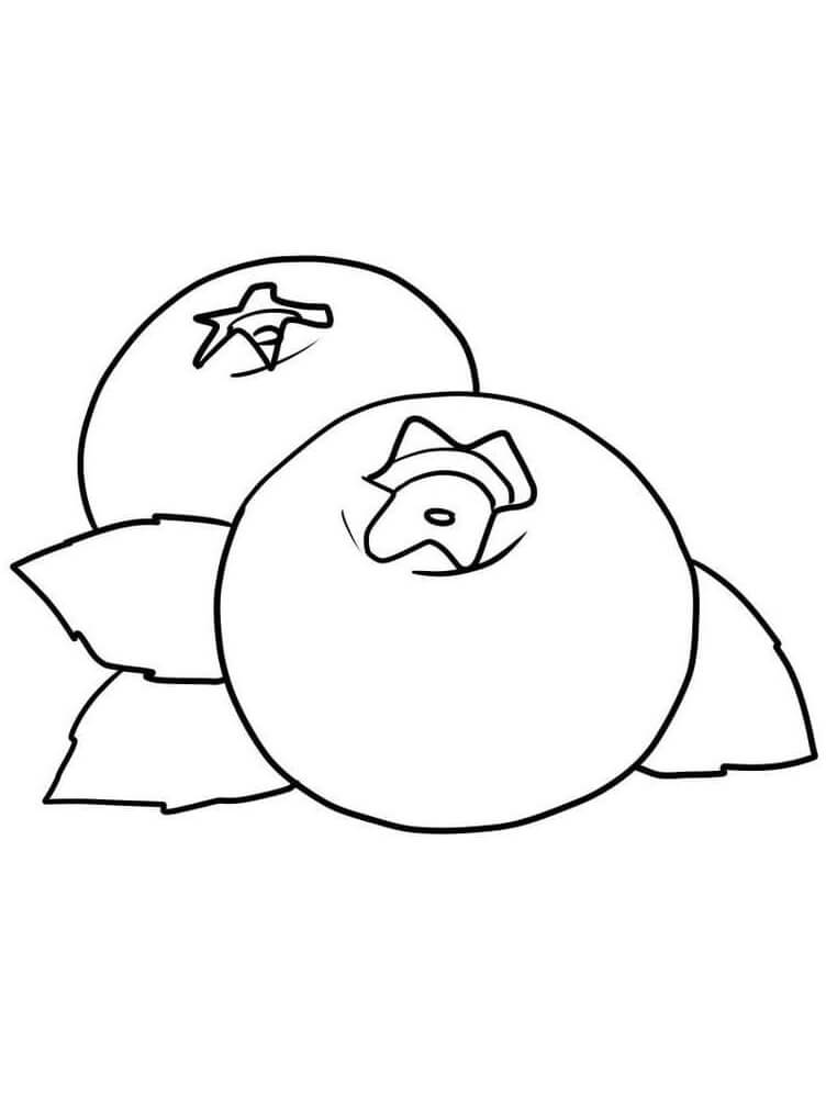 Fruit (3)