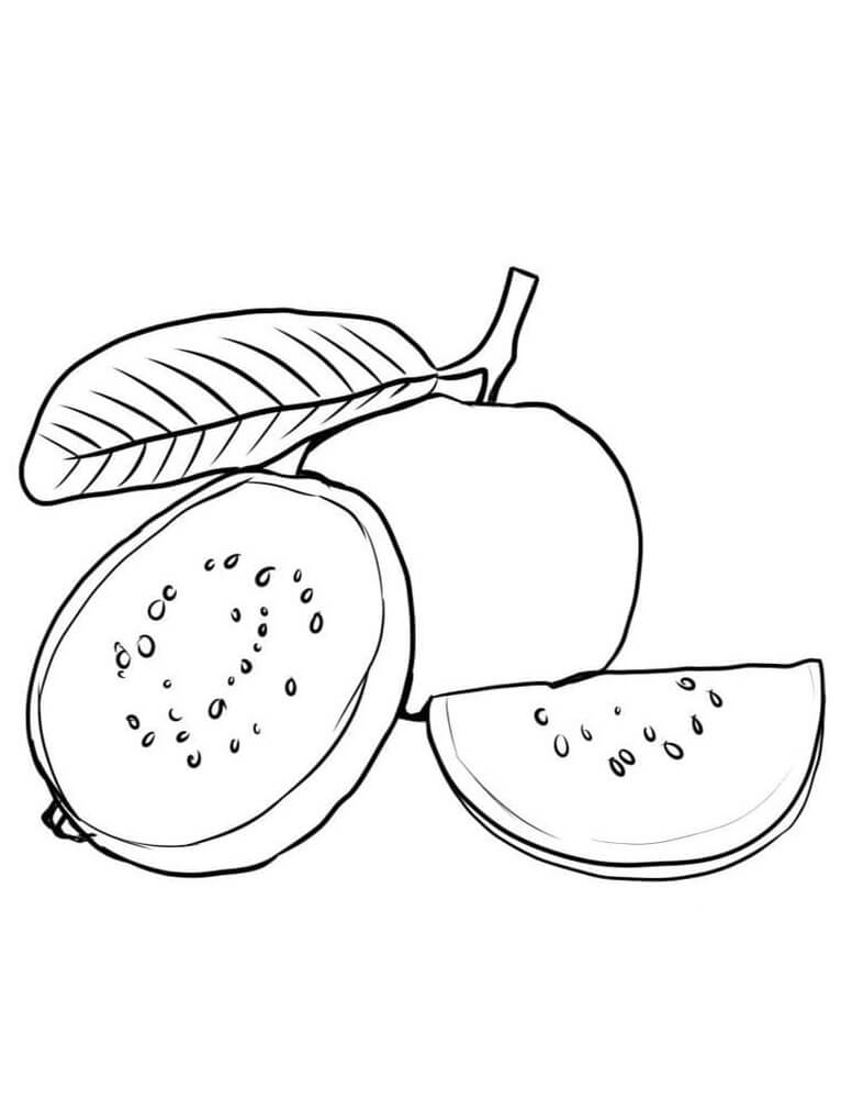 Fruit (5)