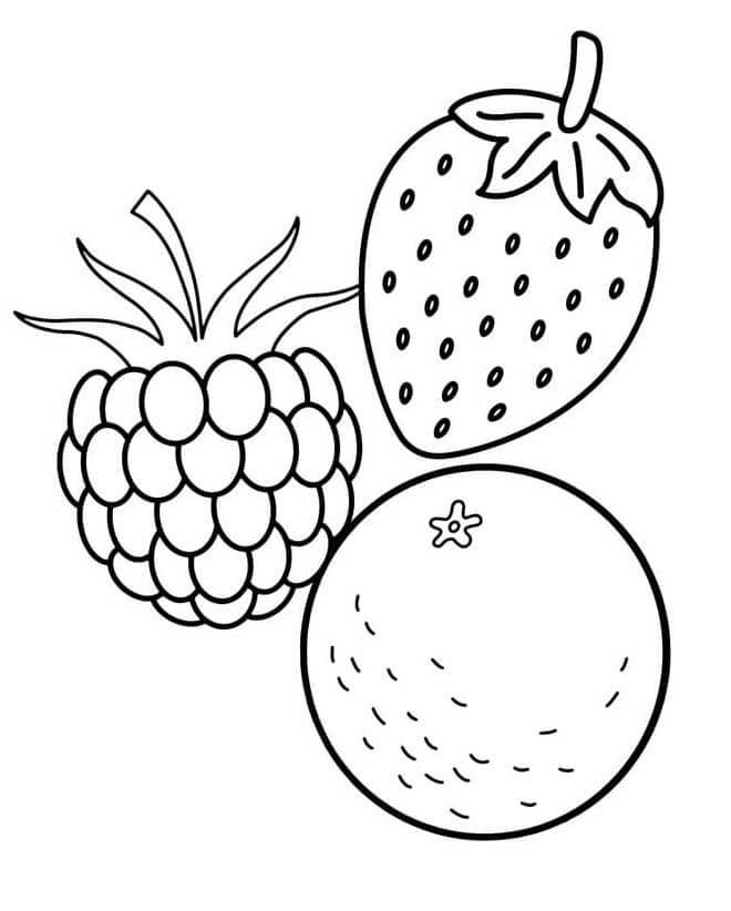 Fruit (7)