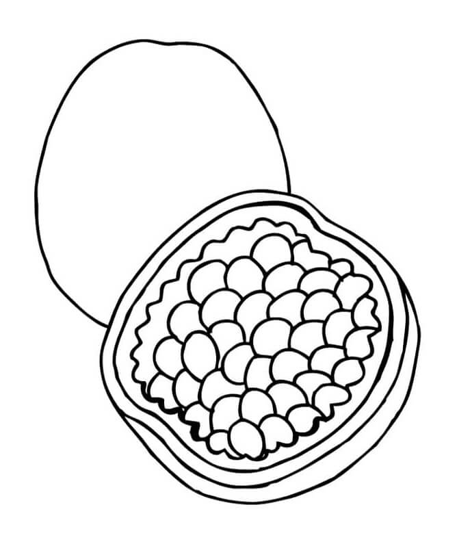 Fruit (8)