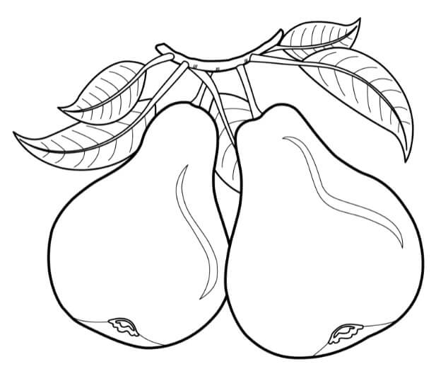 Fruit om af te drukken