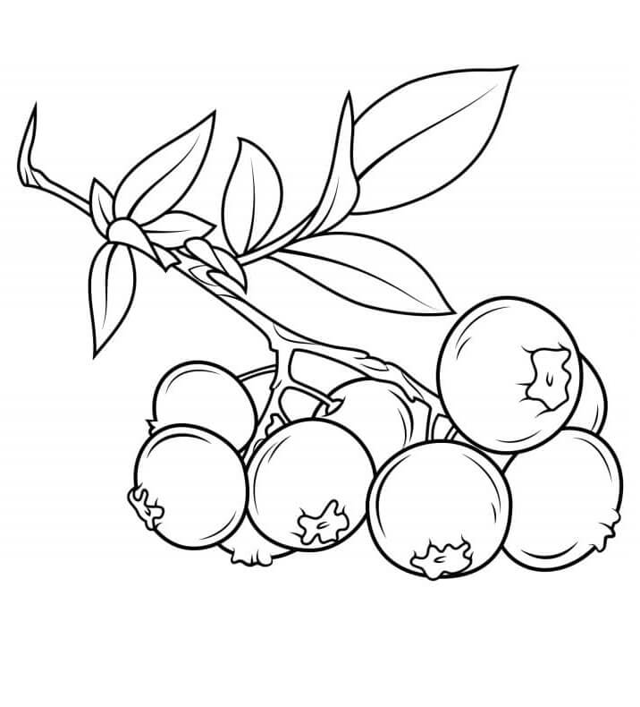 Fruit voor kinderen van 4 jaar