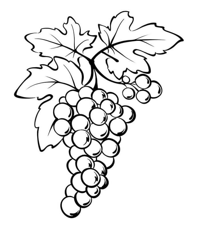 Fruit voor kinderen van 6 jaar