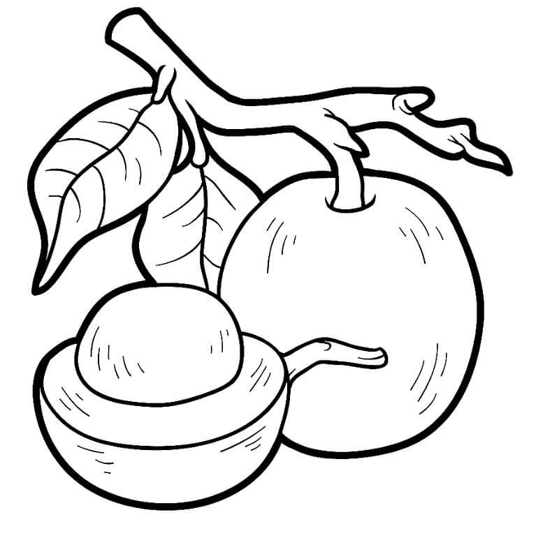 Fruit voor kinderen