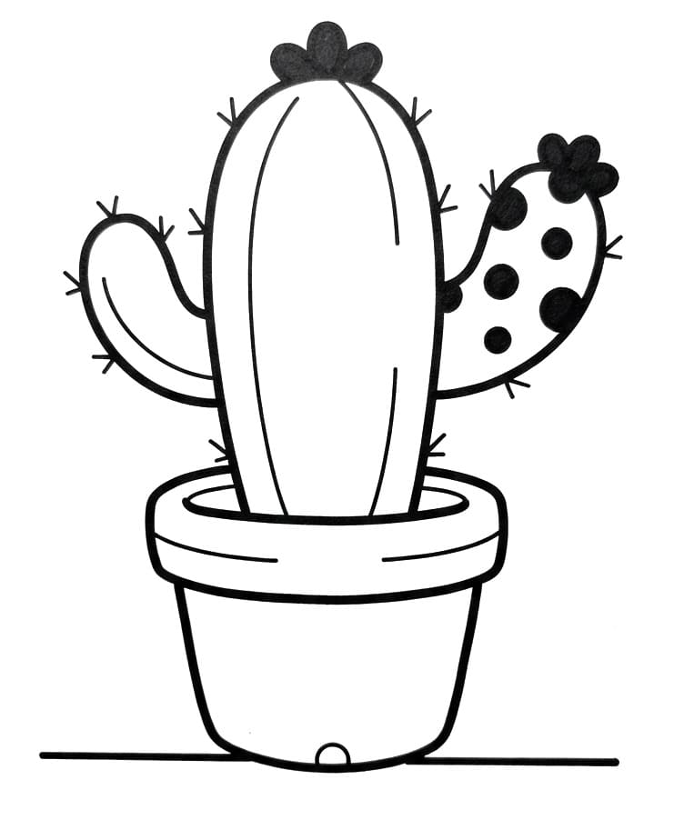 Gave cactus
