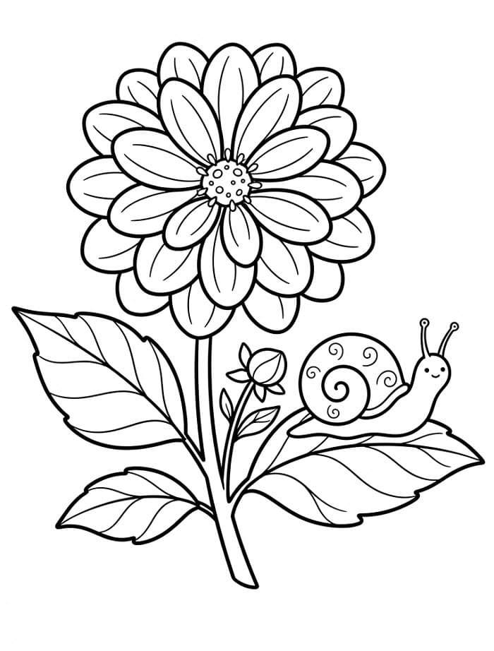 Gemakkelijke Dahlia