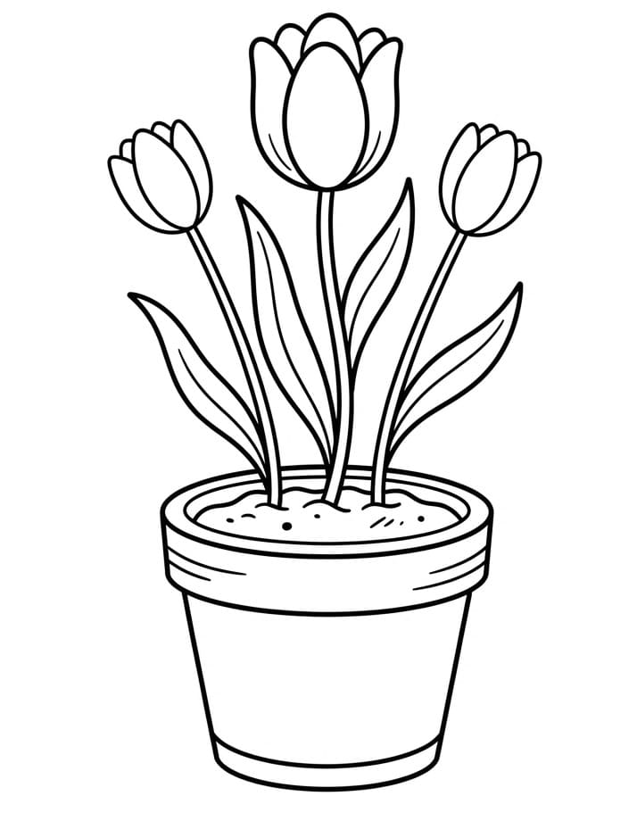 Gemakkelijke Tulp
