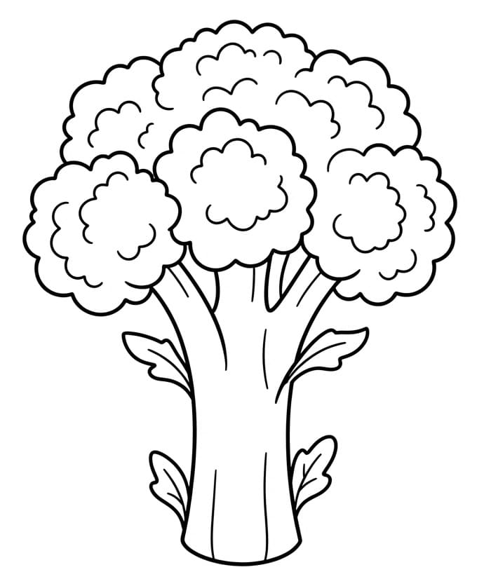 Gemakkelijke broccoli