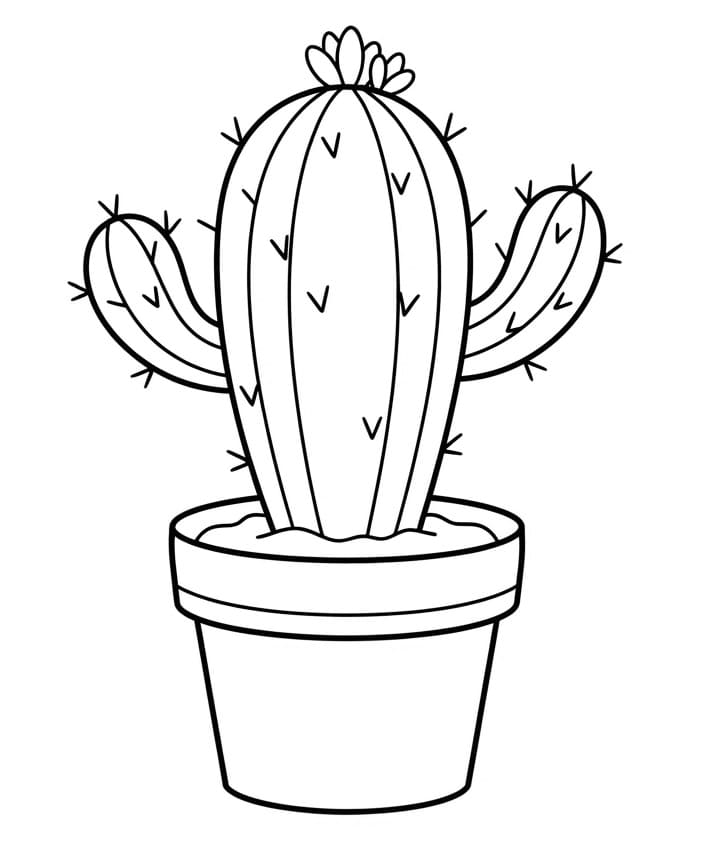 Gemakkelijke cactus