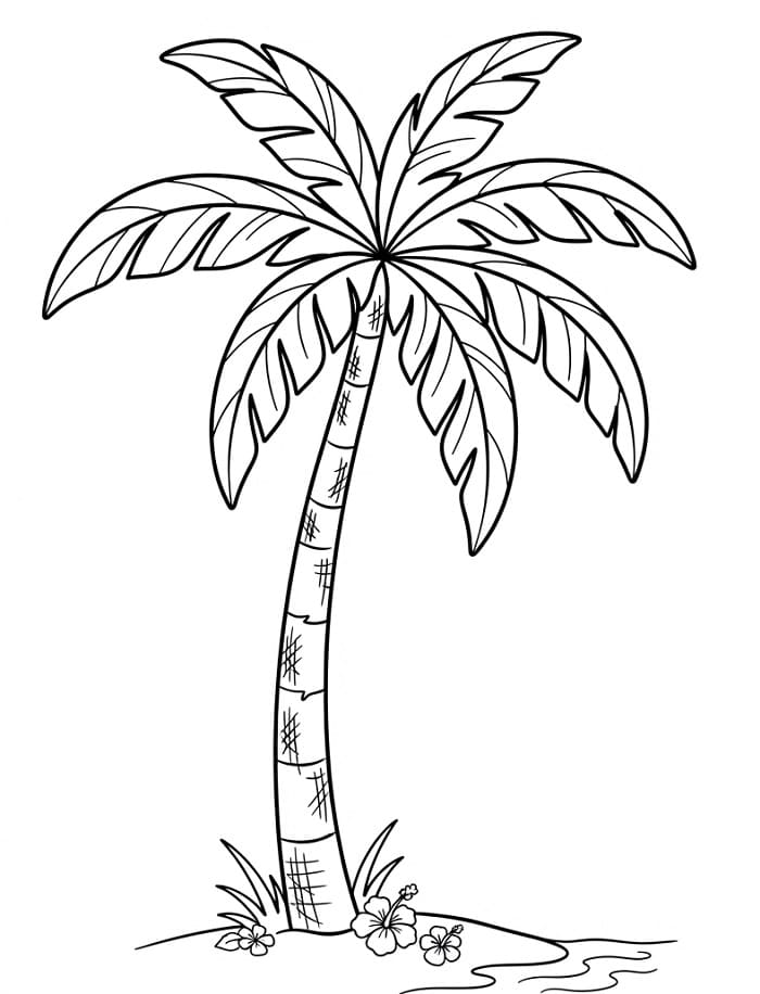 Gewone Palmboom