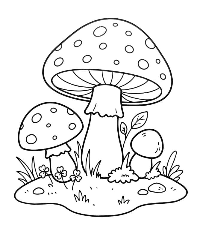 Paddenstoelen kleurplaat