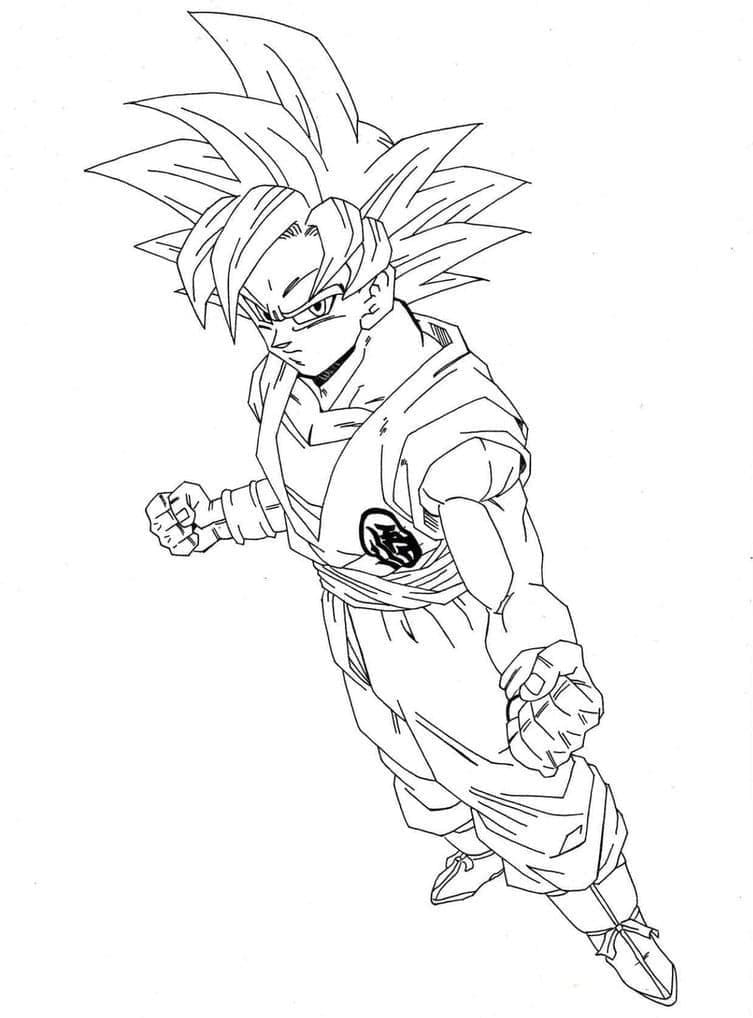 Goku Zonder Kosten
