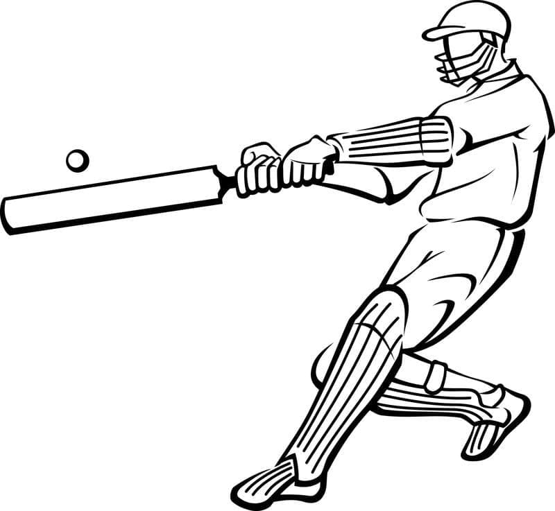 Gratis Afbeelding van Cricket