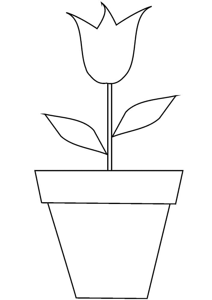 Gratis Bloempot om te printen