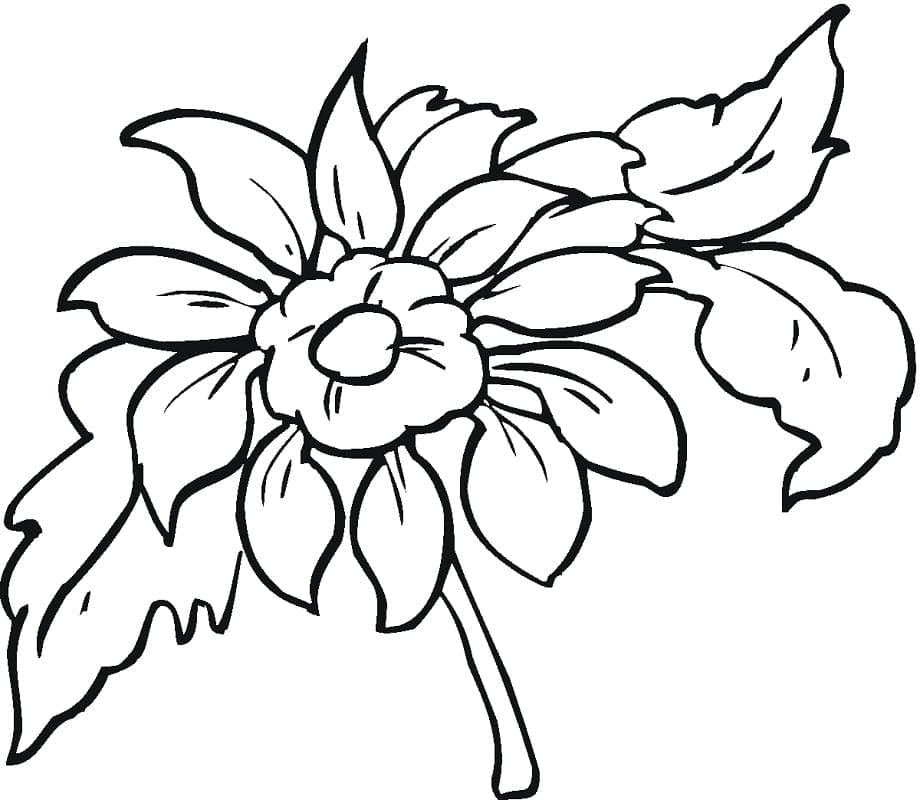 Gratis Dahlia om te printen