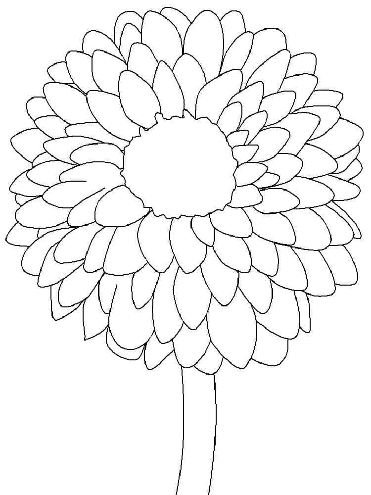 Gratis Dahlia printbaar