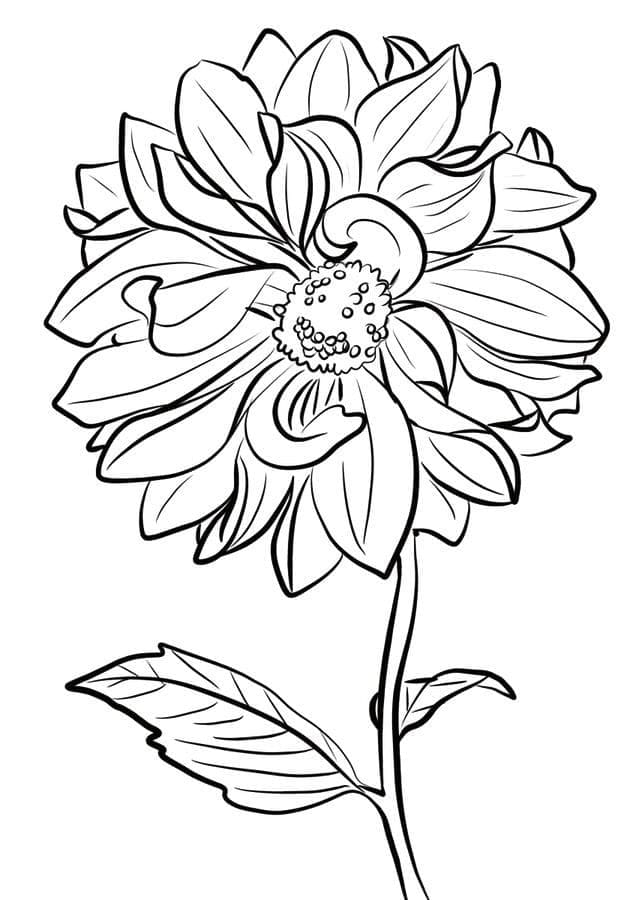 Gratis Dahlia voor kinderen