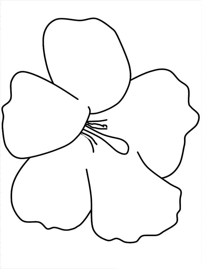 Gratis Hibiscus afbeelding
