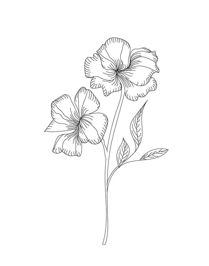 Gratis Hibiscus om te printen