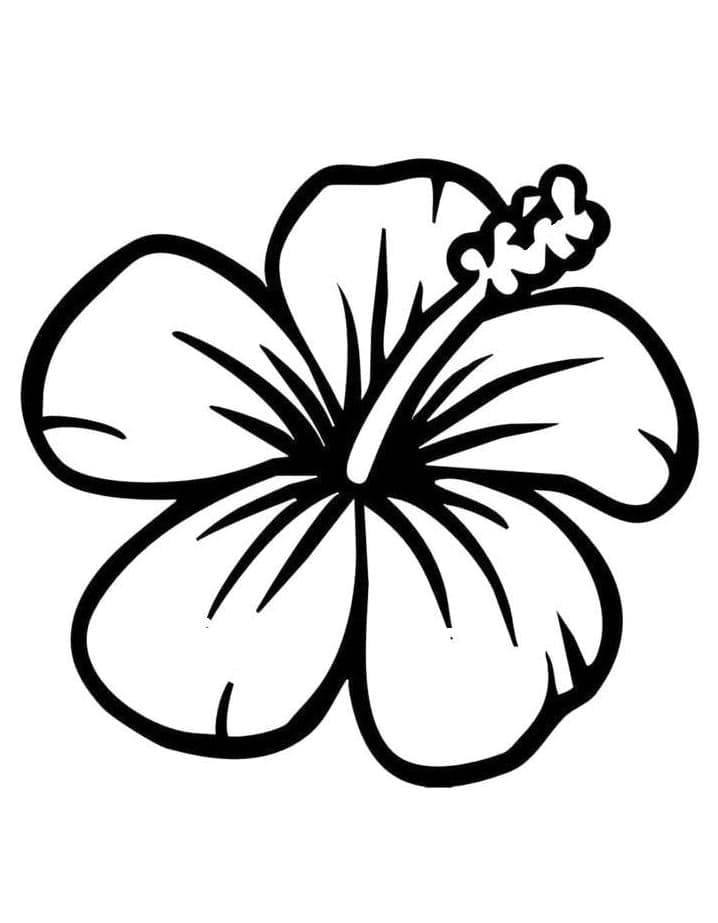 Gratis Hibiscus voor kinderen