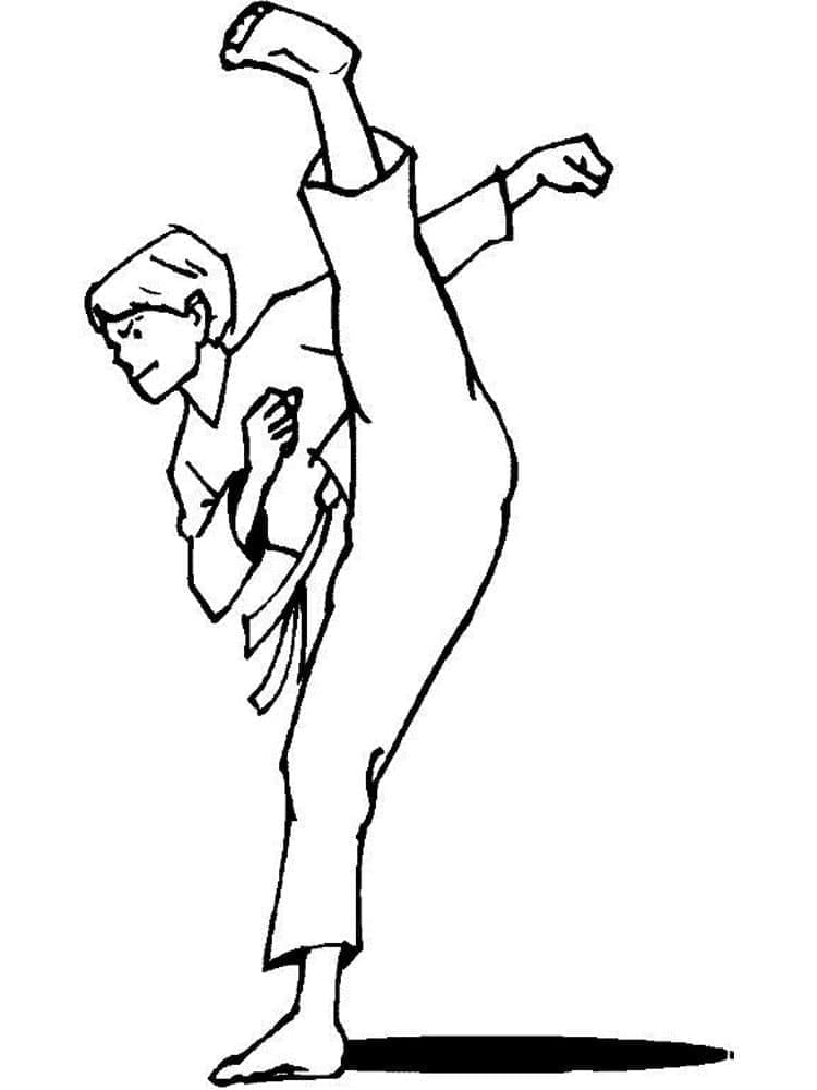 Gratis Karate Afbeelding