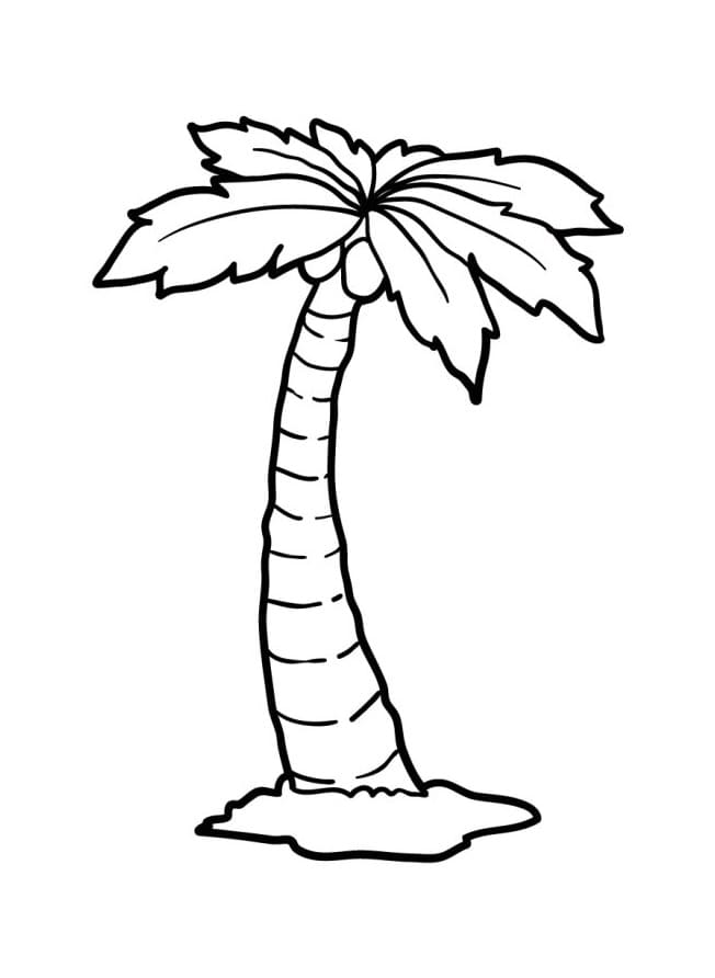 Gratis Palmboom printbaar
