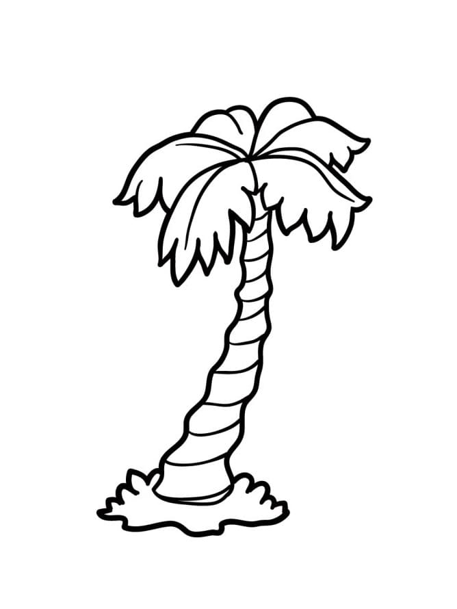 Gratis Palmboom voor kinderen
