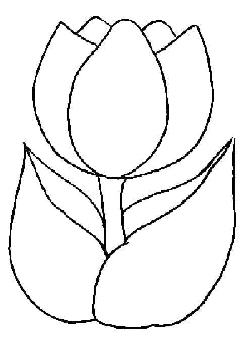 Gratis Tulp om te printen