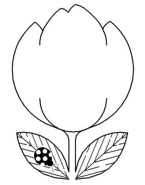 Gratis Tulp voor kinderen