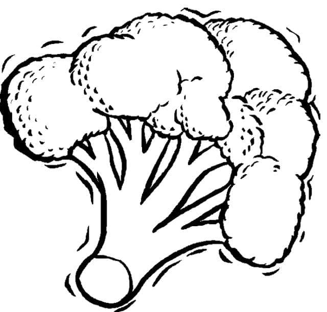 Gratis afbeelding van broccoli