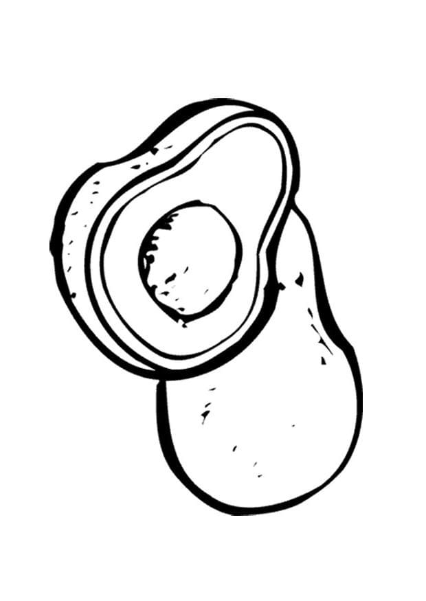 Gratis afbeelding van een avocado