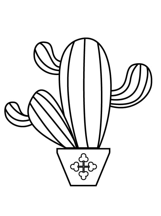 Gratis afbeelding van een cactus