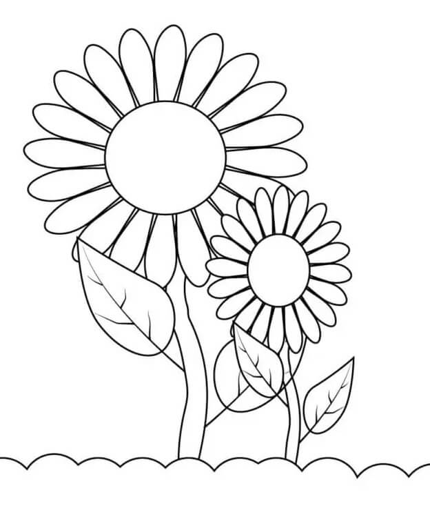 Gratis afbeelding van een zonnebloem