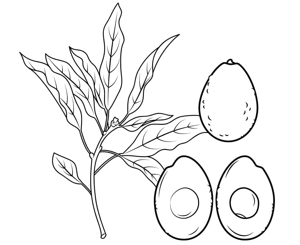 Gratis avocado