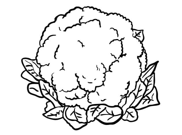 Gratis bloemkool voor kids