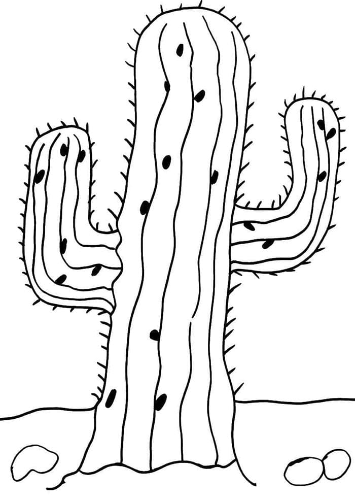 Gratis cactus om af te drukken